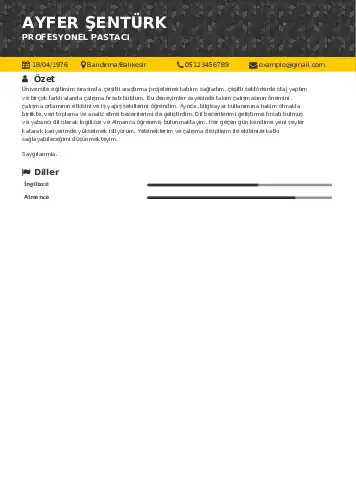 Pastacı Cv Örnekleri cv indir